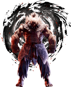 Image du personnage Akuma pour le quiz Picguessr