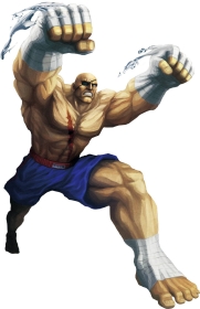 Sagat character picture for the Picguessr quiz