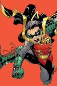 Robin character picture for the Picguessr quiz