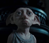 Dobby character picture for the Picguessr quiz