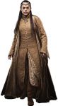 Elrond character picture for the Picguessr quiz