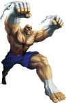 Sagat character picture for the Picguessr quiz