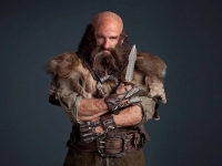 Dwalin character picture for the Picguessr quiz