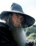 Gandalf character picture for the Picguessr quiz