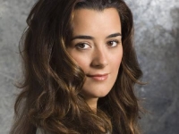 Ziva David character picture for the Picguessr quiz