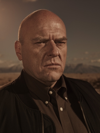 Hank Schrader character picture for the Picguessr quiz