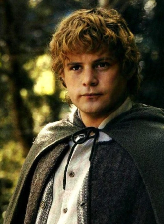 Samwise Gamgee character picture for the Picguessr quiz