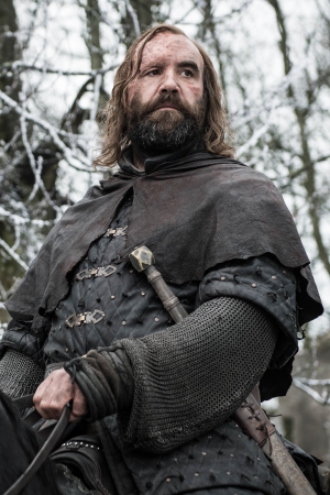 Sandor Clegane character picture for the Picguessr quiz