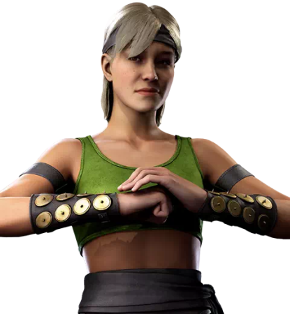 Sonya Blade character picture for the Picguessr quiz