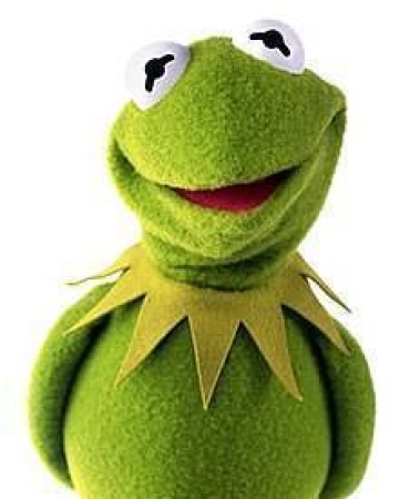 Kermit the Frog character picture for the Picguessr quiz