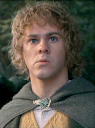 Merry character picture for the Picguessr quiz