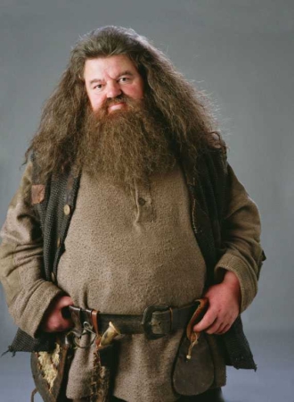 Hagrid character picture for the Picguessr quiz