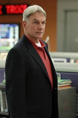 Gibbs character picture for the Picguessr quiz